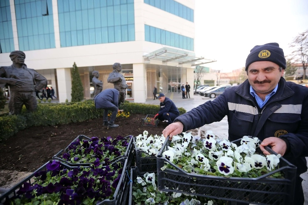 Yenimahalleye 300 Bin Çiçek