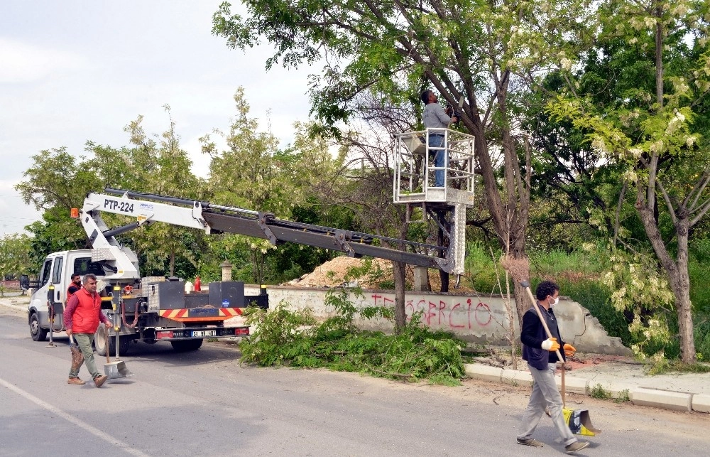 Akdenizde Parklar Bahara Hazırlanıyor