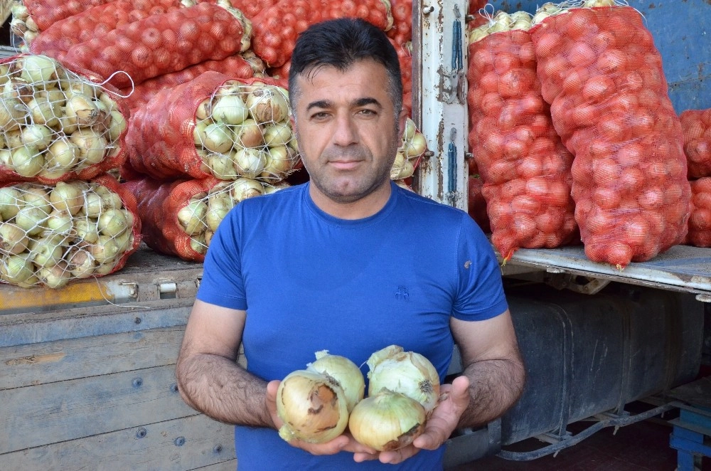 Cep Yakan Soğanın Fiyatı 75 Kuruşa Kadar Düştü