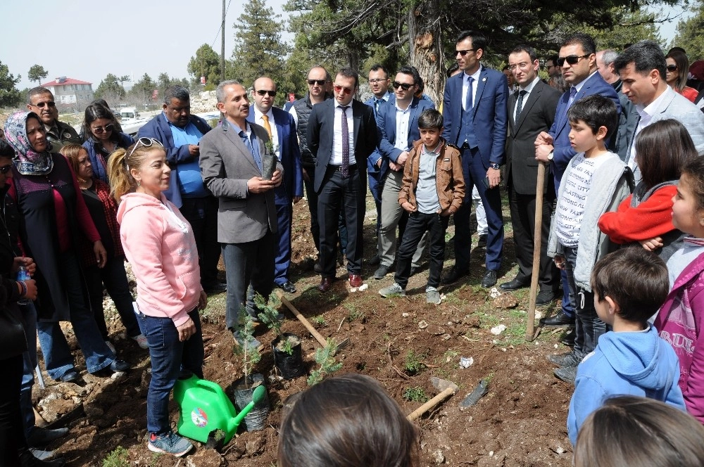 Erdemlide Adalet Ormanı Kuruldu