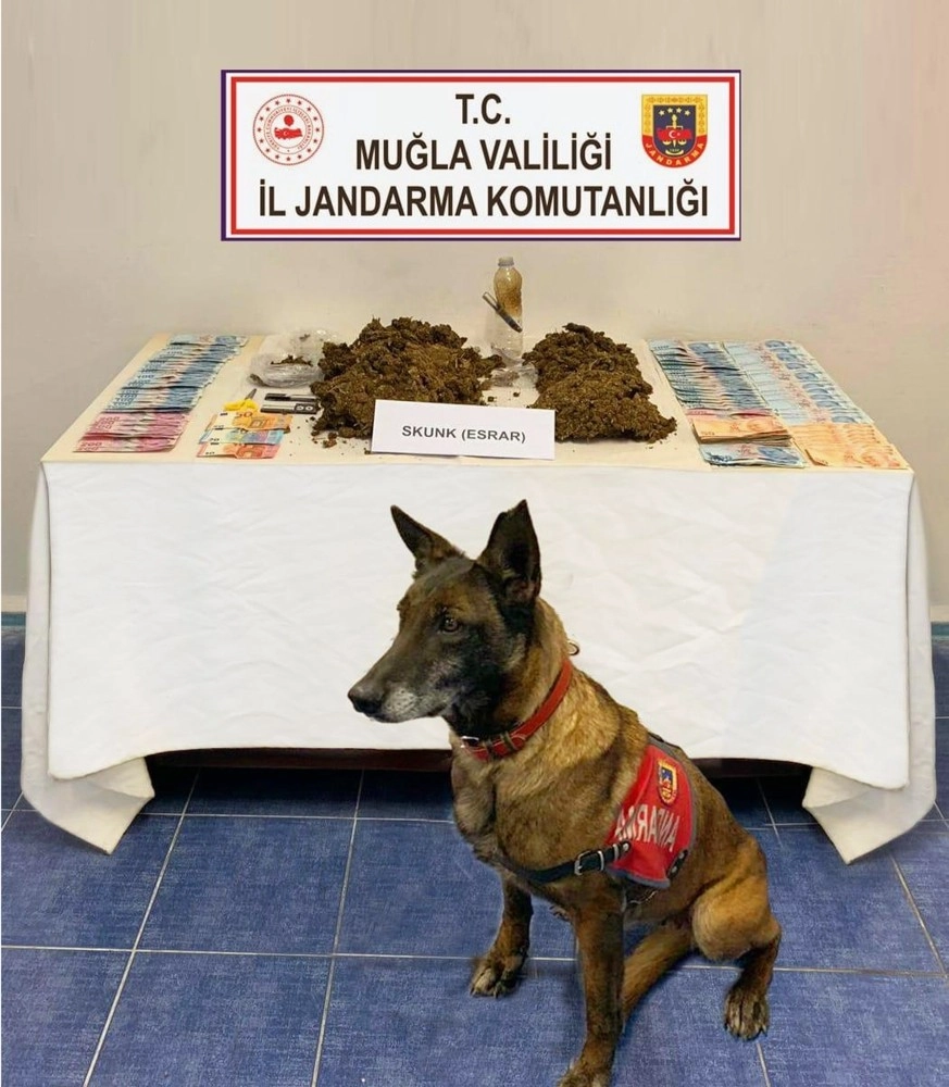 Narkotik Köpek ‘Çimenden Kaçış Yok