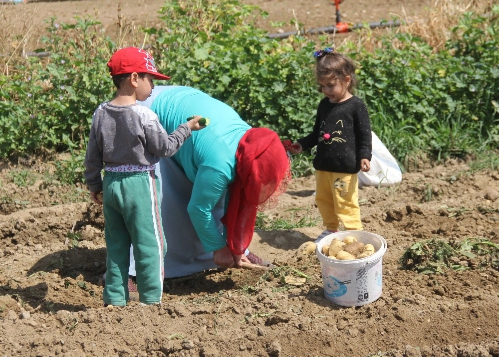 Terk Edilen Kadının Dramı