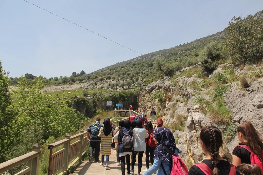 Fidan Dikimi Ve Yürüyüş Etkinliği