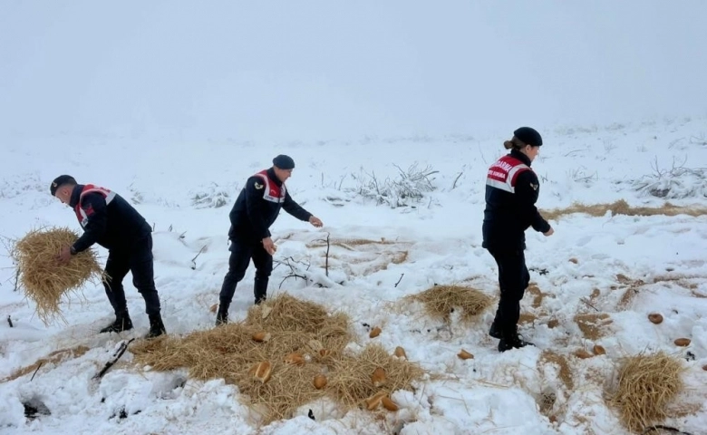 Kilis il Jandarma Komutanlığı ,ekipleri  doğaya yem bıraktı