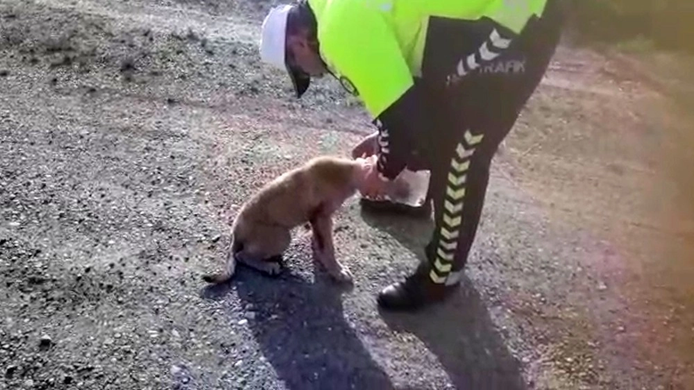 Kafasına Geçirilen Bidonla Dolaşan Köpeği Polis Kurtardı