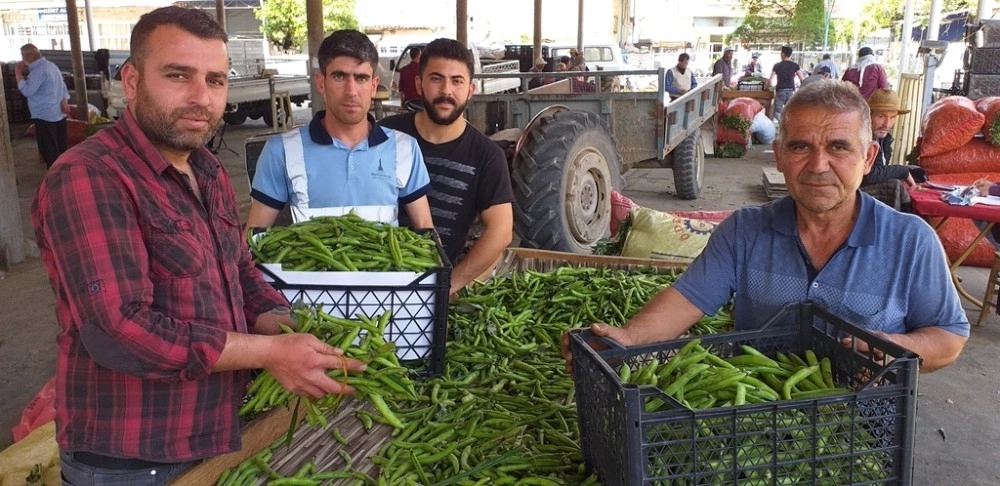 Bezelye Üreticinin Yüzünü Güldürüyor