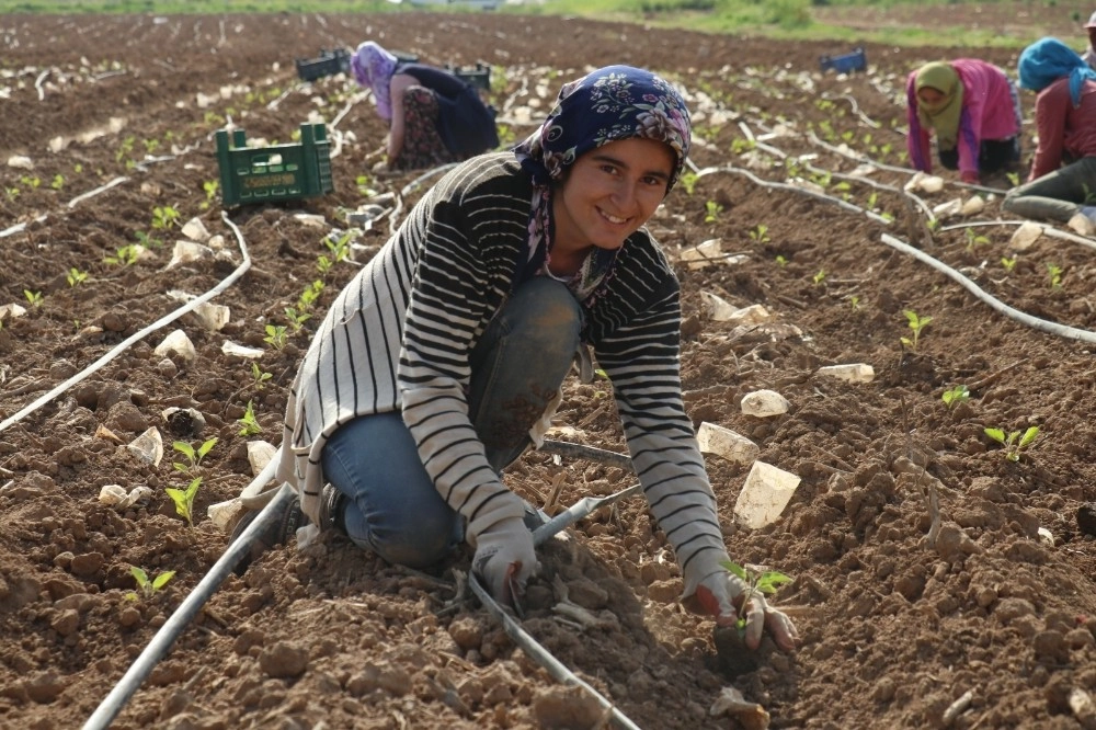 Kadın İşçiler 1 Mayısı Tarlada Geçirdi