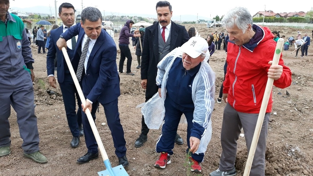 Gölbaşılı Ressam Anısına Fidan Dikildi