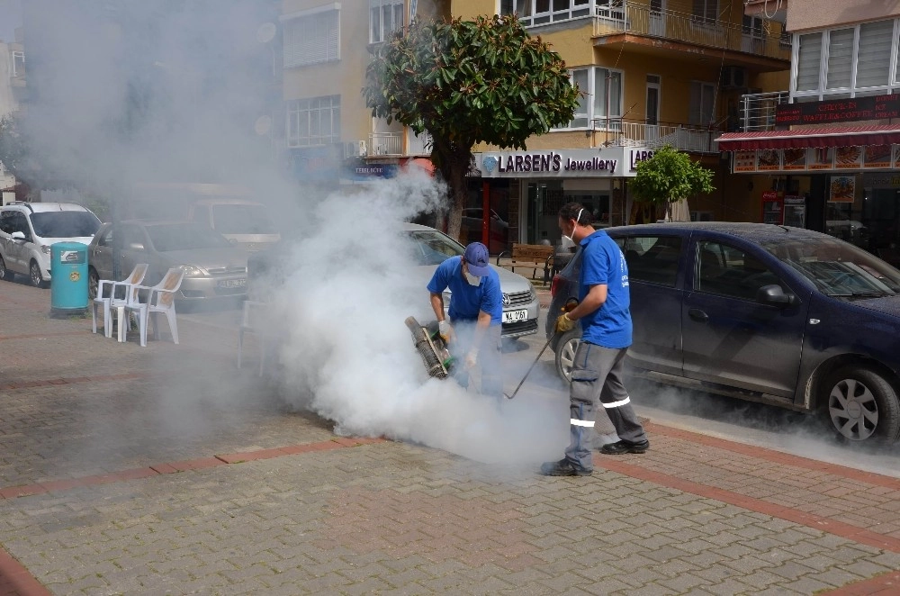 Büyükşehirden  Sinekle Mücadele