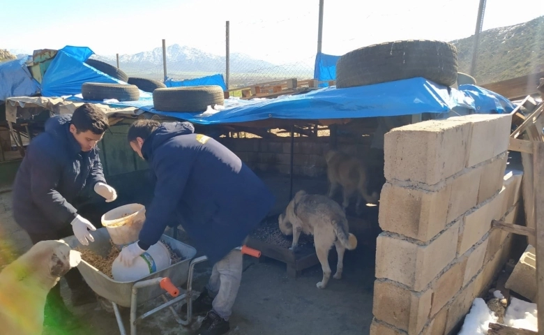 Sokak hayvanlarına sahip çıkıldı