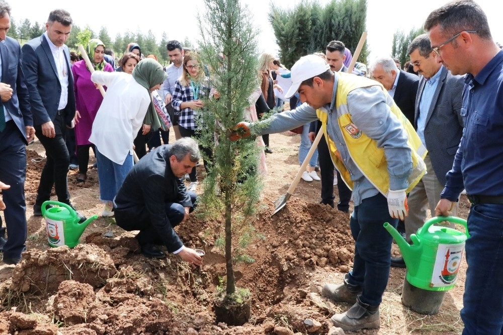 Şanlıurfada ‘Bir Bebek Bir Fidan Projesi