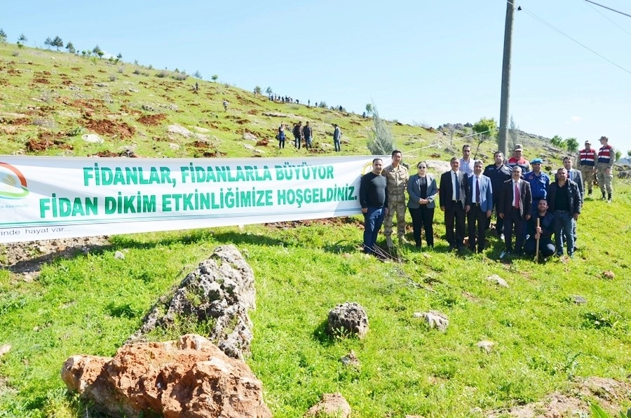 Heykel Dağı Eteklerine Bin Fidan Dikildi