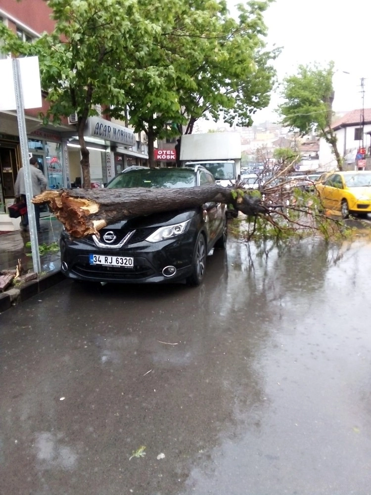 Başkentte Ağaç Otomobilin Üzerine Devrildi