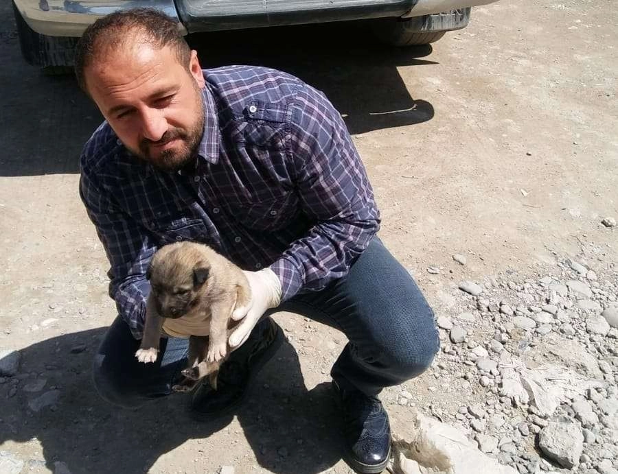 Annesi Ölen Yavru Köpeğe Belediye Çalışanları Sahip Çıktı