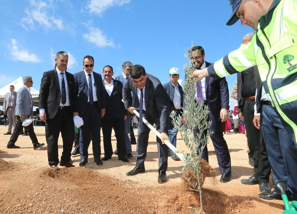 Şehitkamil 18İnci Ormanına Kavuştu