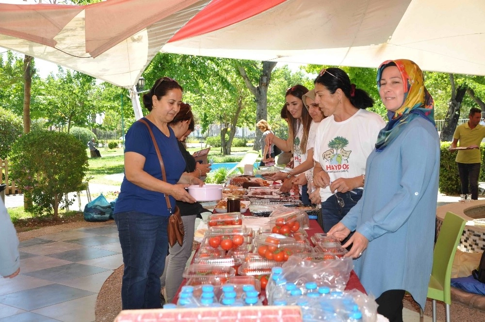 Sokak Hayvanları Yararına Kermes