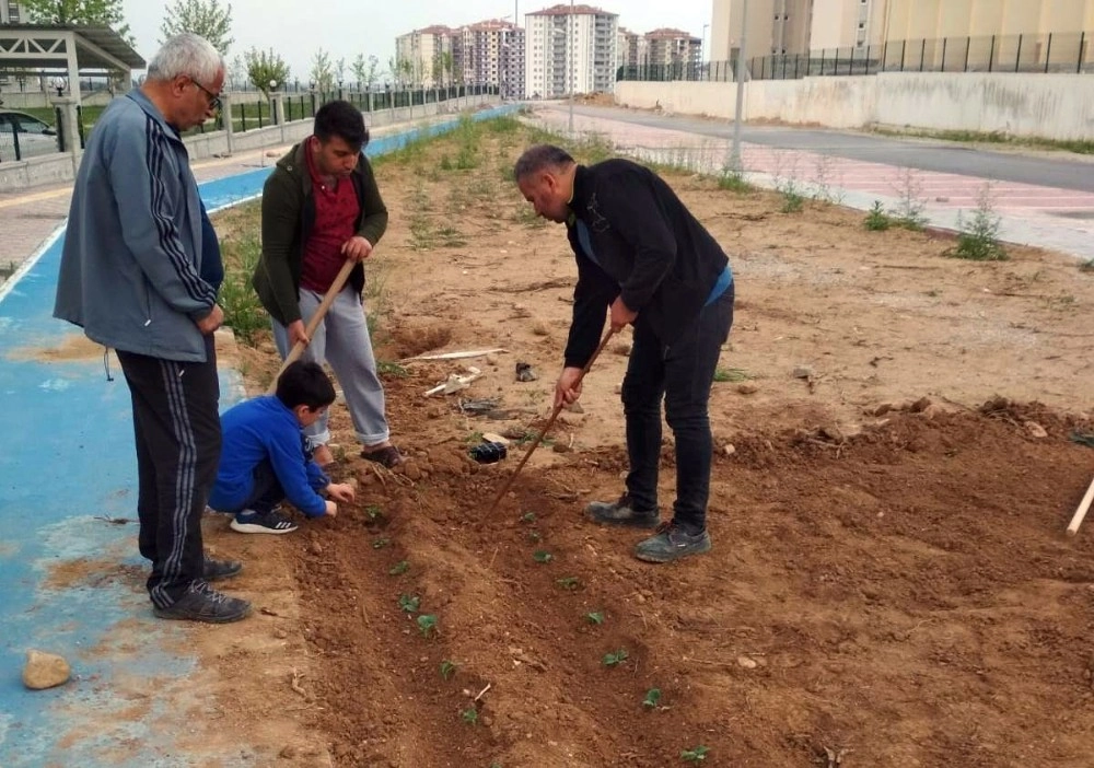 Vatandaşlardan Yüksek Fiyatlı Sebzeye Karşı Çözüm