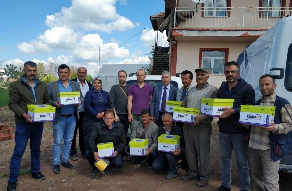 Beyşehirde Seralarda Yararlı Böcek Ve Arıyla Domates Üretimi