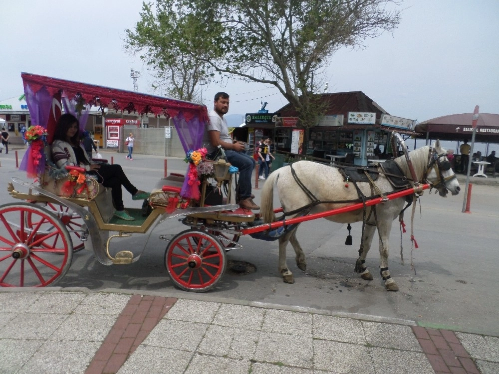 Mudanyada Faytoncular Sezonu Açtı