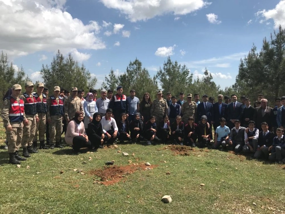 Adıyaman İl Jandarma Komutanlığı Çam Ve Söğüt Fidanları Dikti