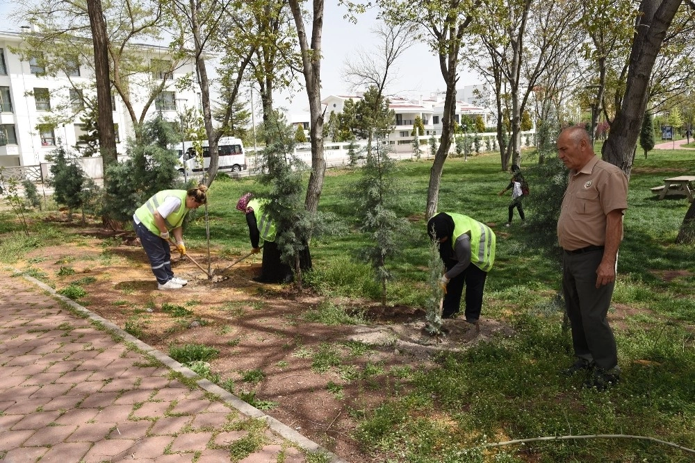 Dede Korkut Parkına 360 Fidan Dikildi