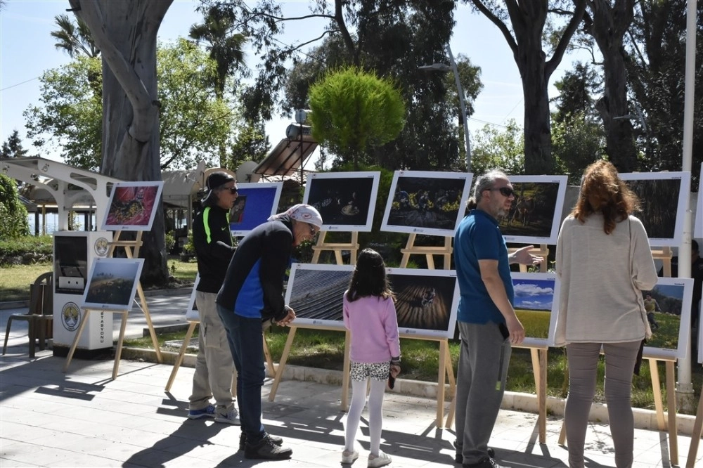 Köyceğizde Tarım Ve İnsan Fotoğraf Sergisi