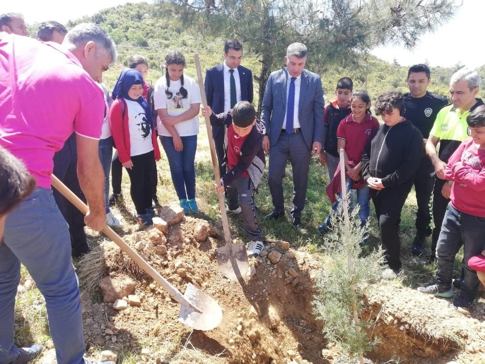 Kaşta Trafik Haftasında Fidan Dikildi