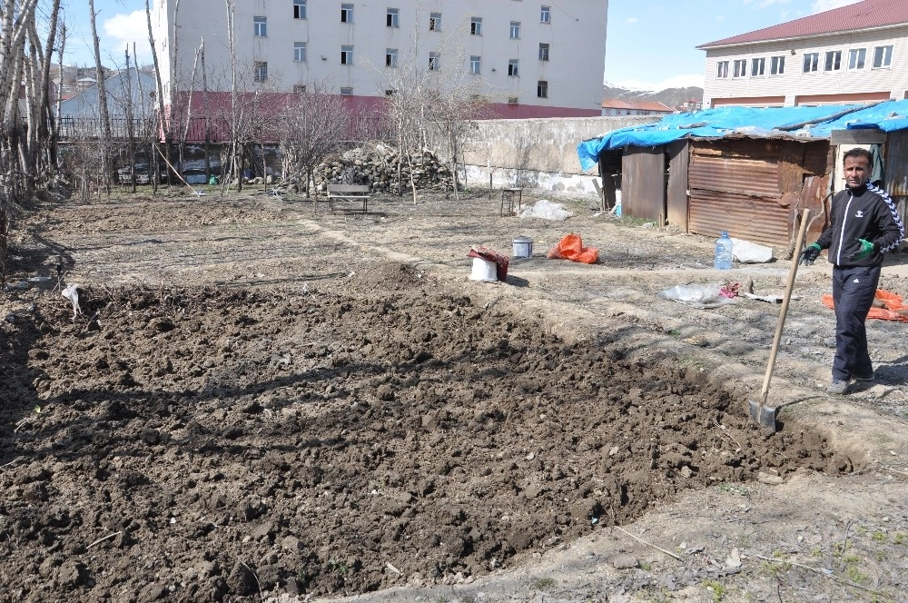 Yüksekovada Havalar Isındı, Toprağa Tohumlar Atılmaya Başlandı