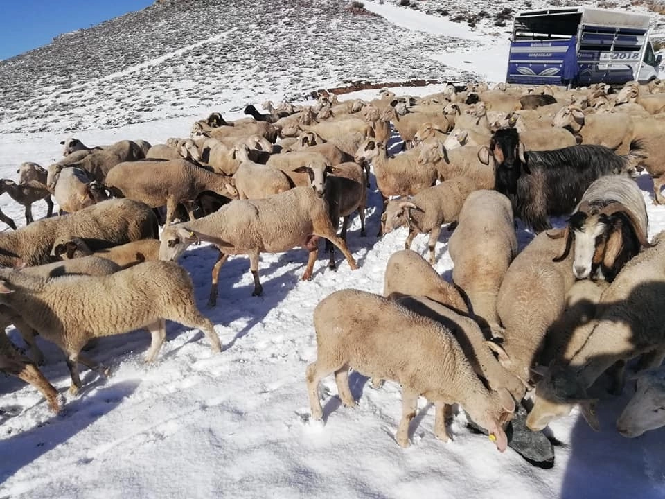 Antalyada Yaylalar Mayıs Ayında Beyaza Büründü