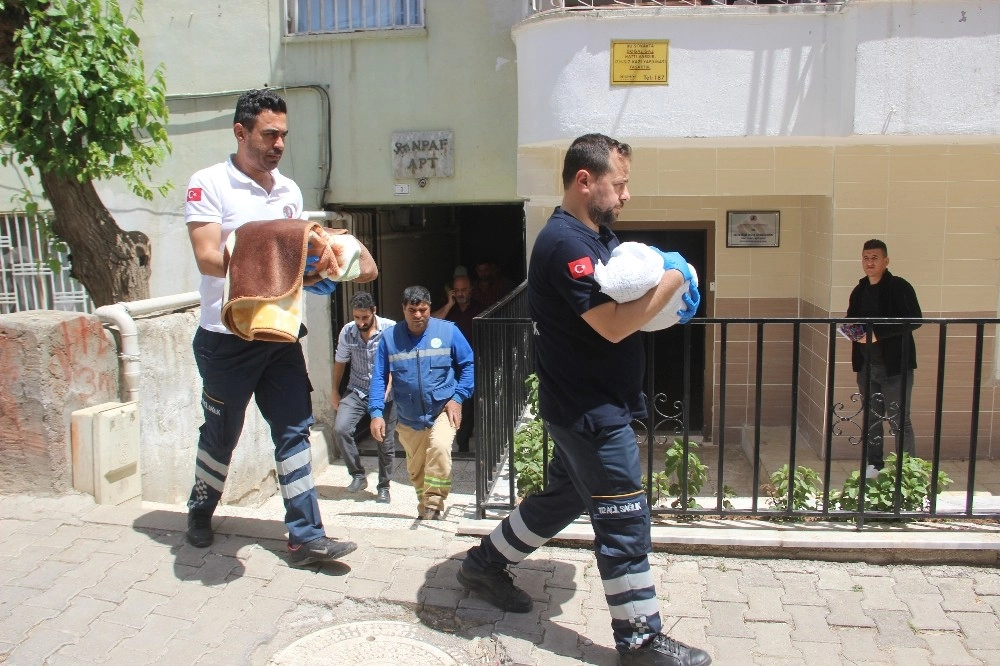 İkiz Bebekler Evde Ölü Bulundu