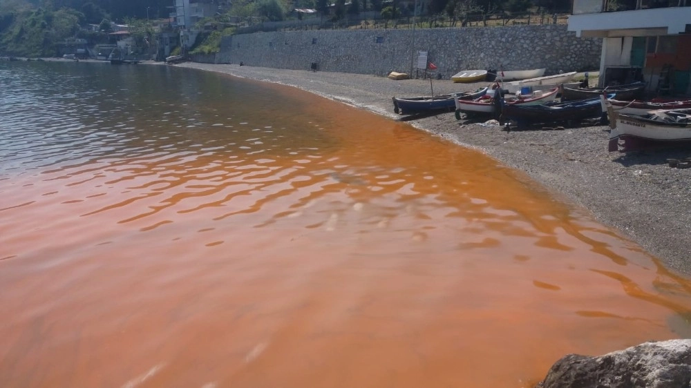 Bursada Deniz Kızıla Boyandı, Uzmanlar Açıkladı: