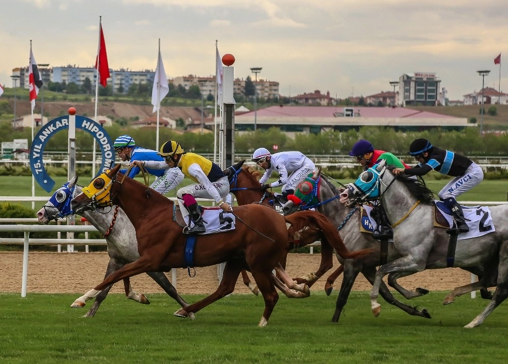 57. Tbmm Koşusunda Kazanan Denizim Oldu