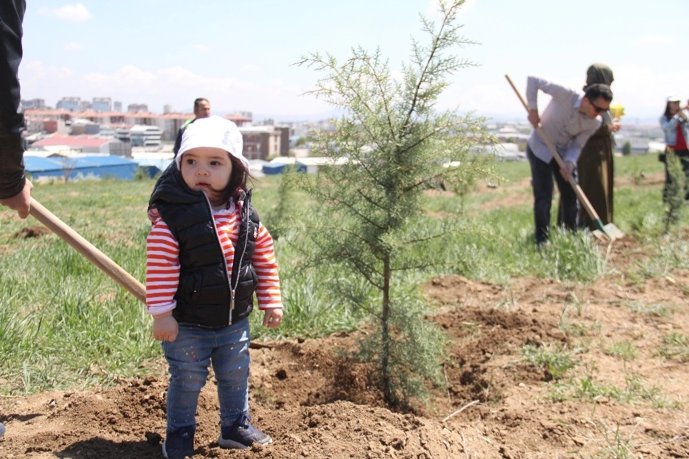 “Avrupa Günü” Etkinlikleri Kapsamında Fidan Dikildi