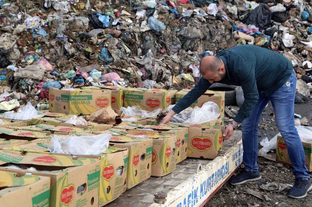 Silopide 994 Kilogram Kaçak Muz İmha Edildi