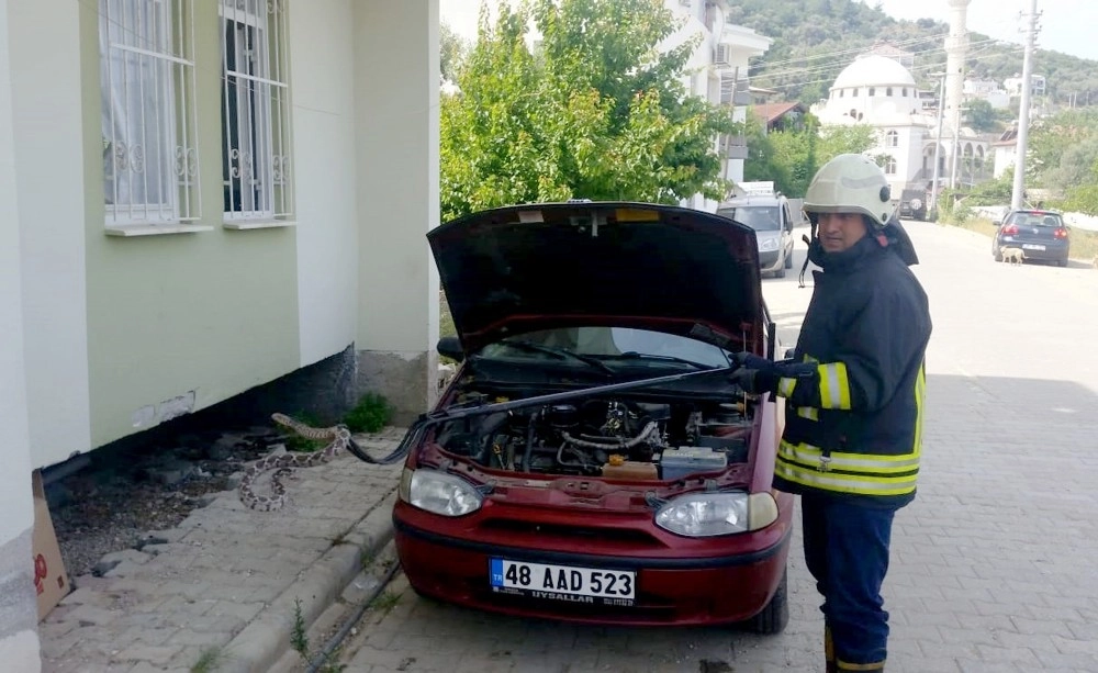 Aracın Motoruna Giren Yılanı İtfaiye Çıkardı