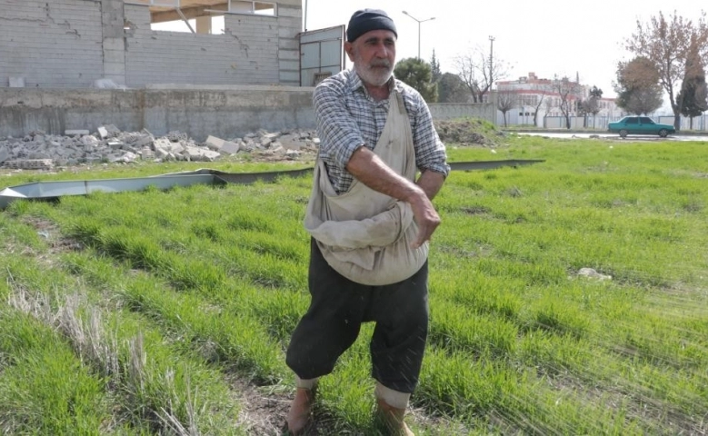 Depremde evi ağır hasar alan depremzede tarlasında üretime başladı