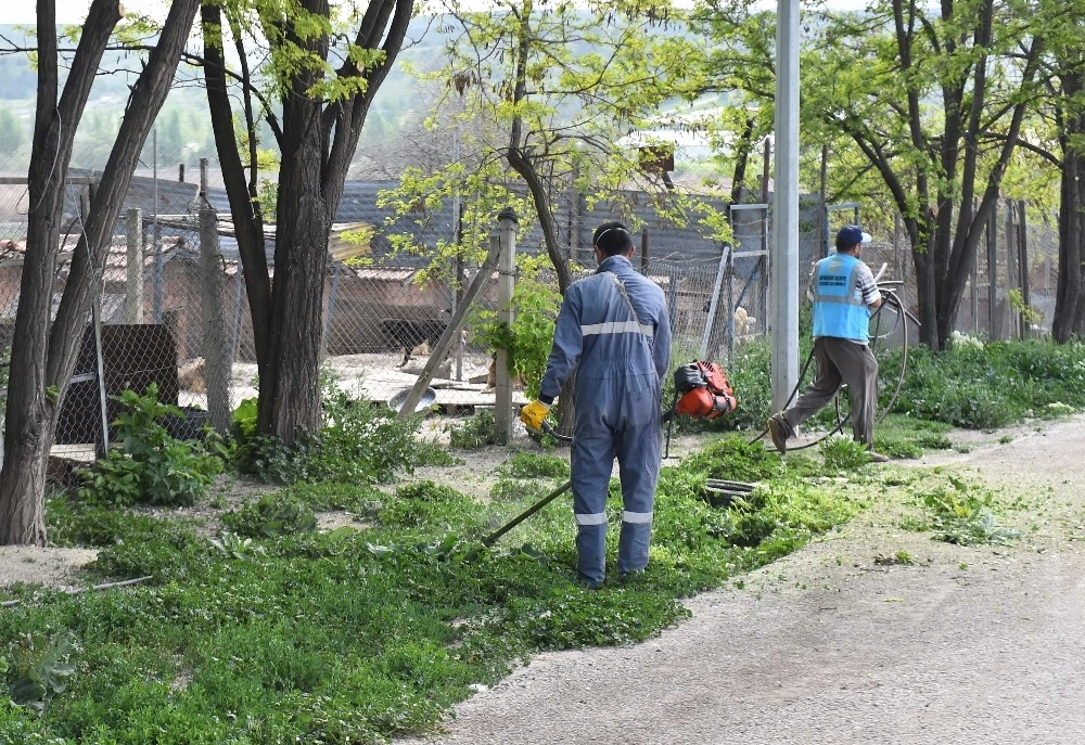 Hayvanlar Mutlu, Başkent Mutlu