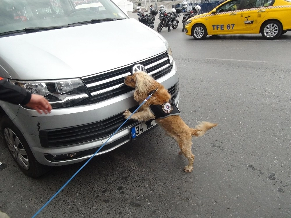 Özel Eğitimli Narkotik Köpeği Kuki Vatandaşların İlgi Odağı Oldu