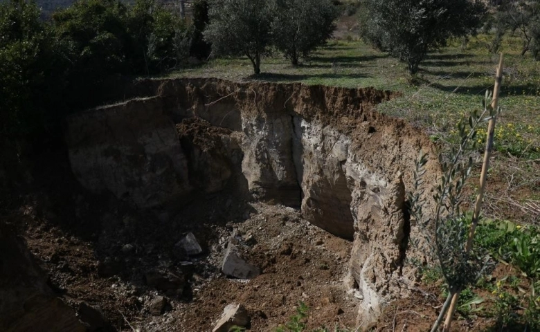 Hatay'da dev fay yarıkları ve çukurlar ağaçları yuttu