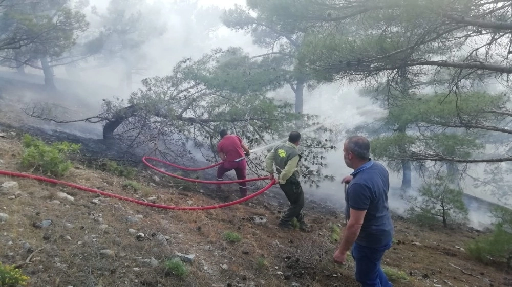 Ormanlık Alanda Korkutan Yangın