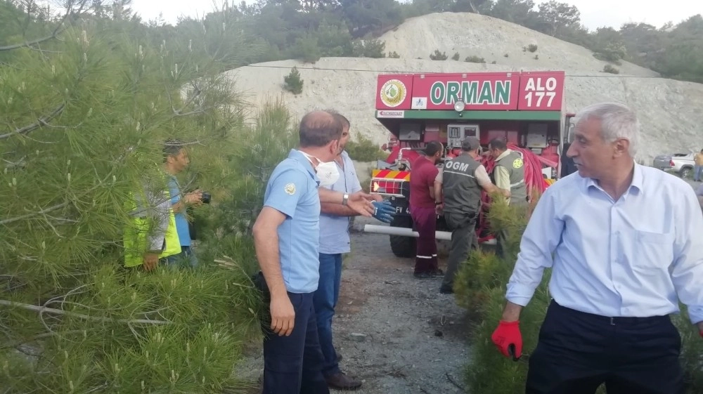 Adıyamanda Yangında 3 Hektarlık Orman Zarar Gördü