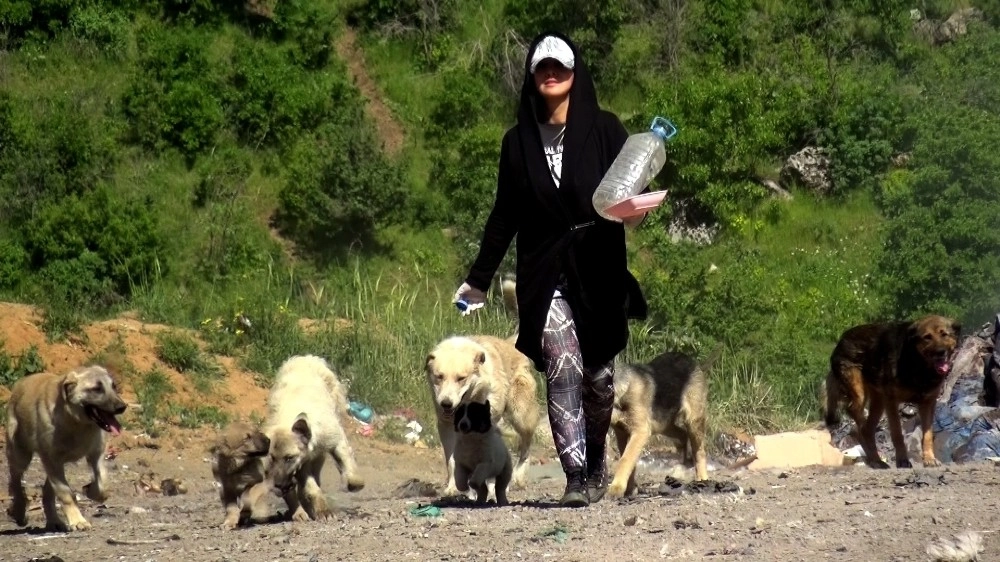 Ölüme Terk Edilen Yavru Köpeklere Eda Öğretmen Sahip Çıktı