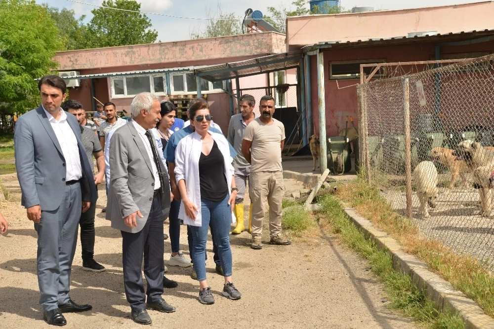 Mızraklı, Hayvan Bakım Merkezini Gezdi