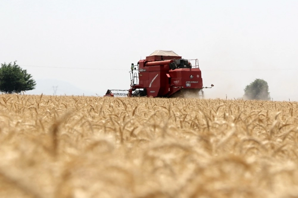 Kozanda Buğday Sezonu Açıldı