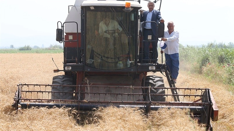 Sağlam “Stratejik Ürün, Buğdaydan Vazgeçilmemeli”