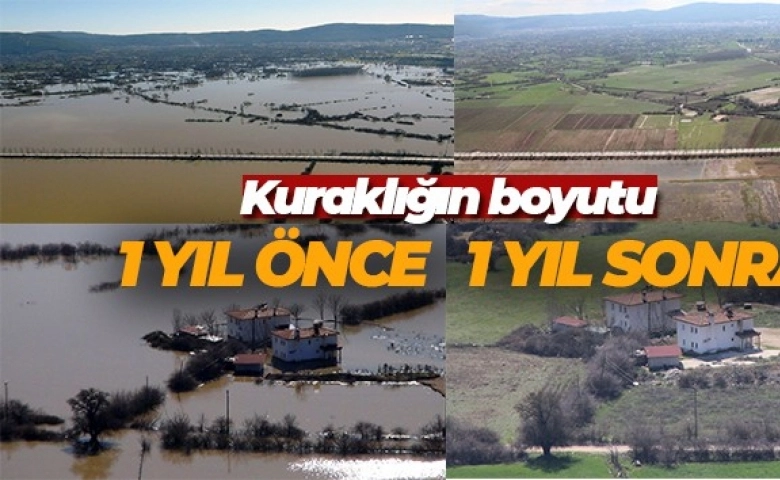 Bir yıl önce, bir yıl sonra