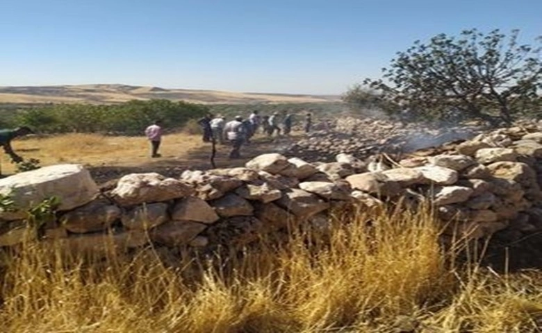 Adıyaman’da, anız yangınında ağaçlar zarar gördü.