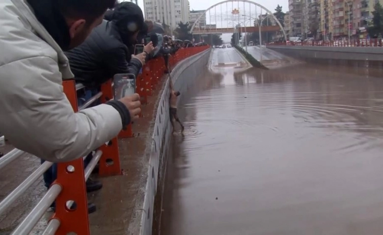 Şanlıurfa'da Selde kaybolanları arama çalışmaları sürüyor