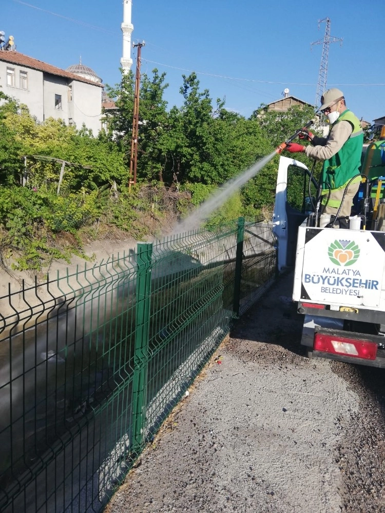 Malatyada Haşereyle Mücadele Sürüyor