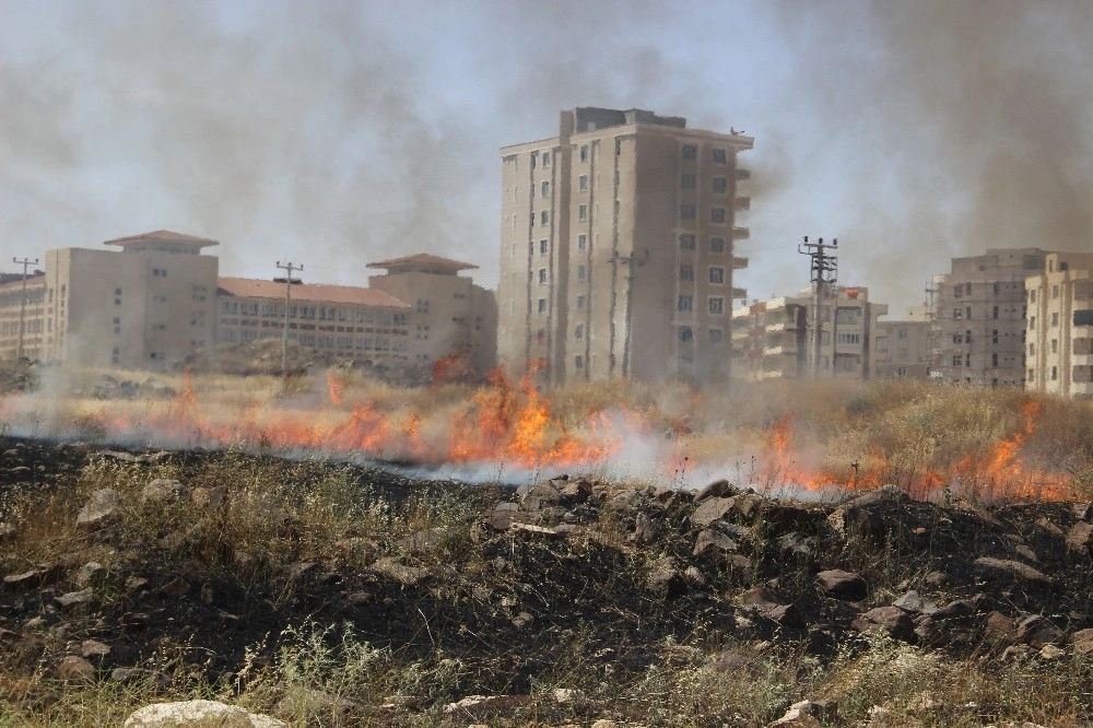 Şehir Merkezinde Çıkan Arazi Yangını Çevredeki Binaları Etkiledi